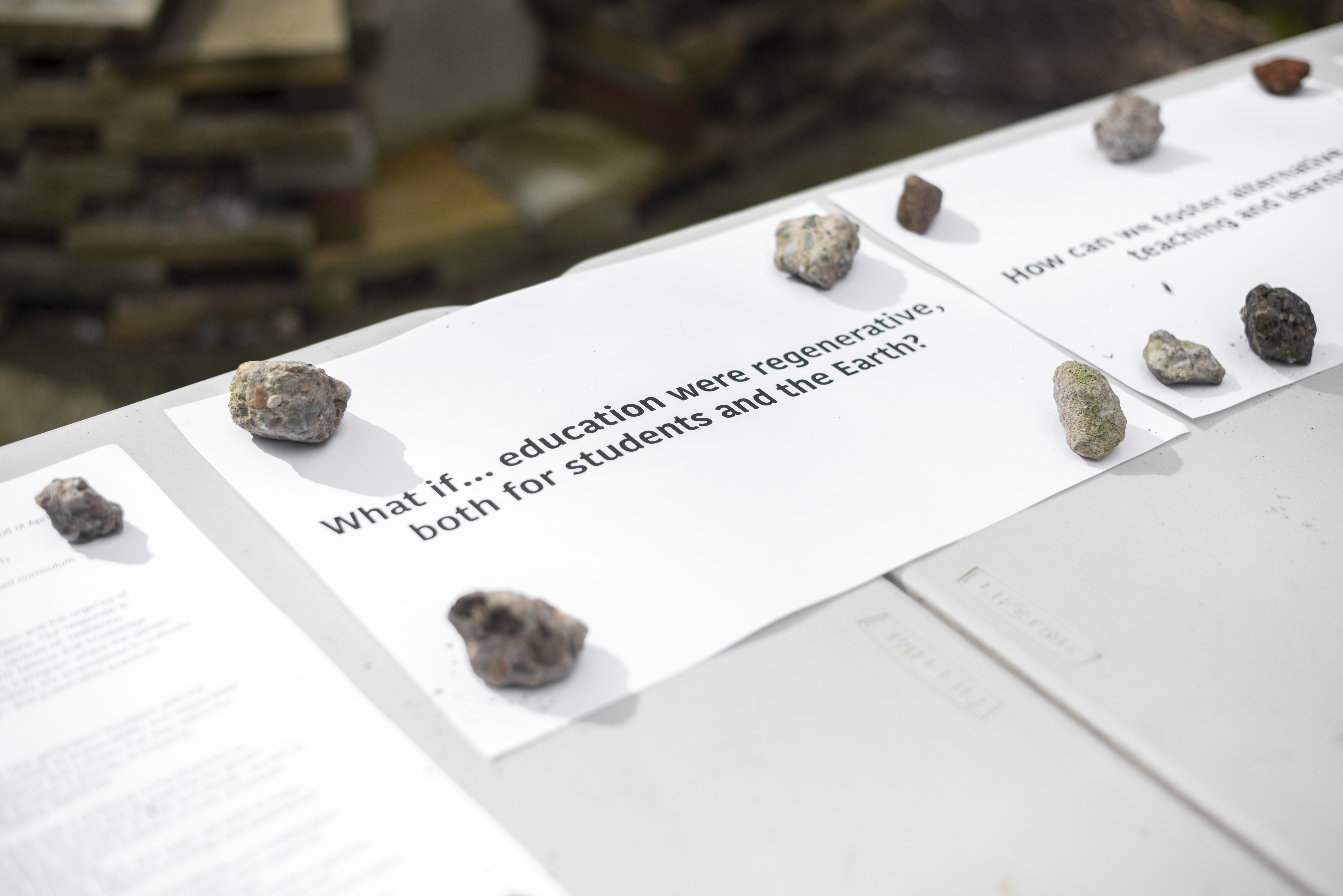 Rooting Ecologies Workshop